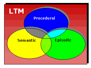 Long Term memory: three overlapping components