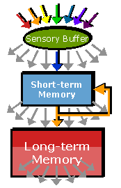 Structure of memory